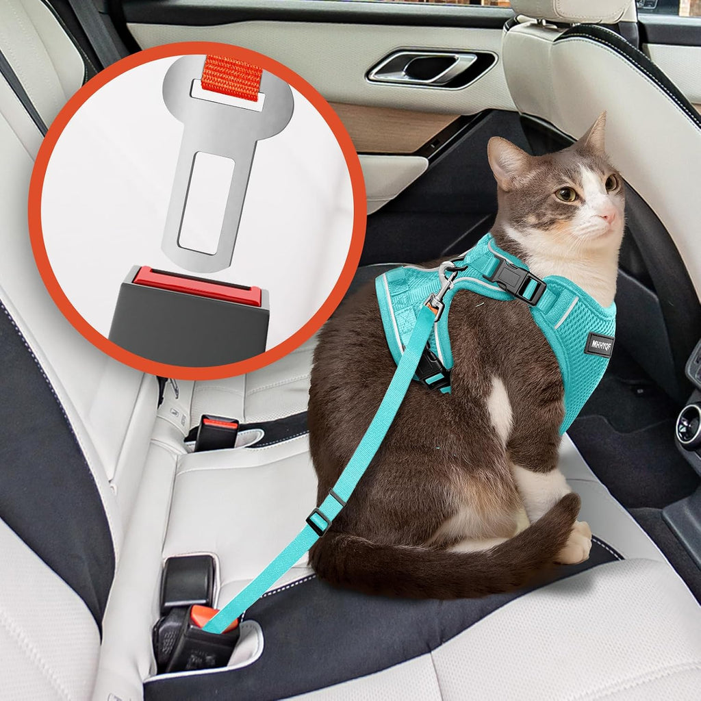 Cat Harness and Leash for Walking Escape Proof Soft Adjustable Cat Leash Breathable Comfortable Vest Easy to Wear Kitten Harness for Outdoor Travel, Green, S