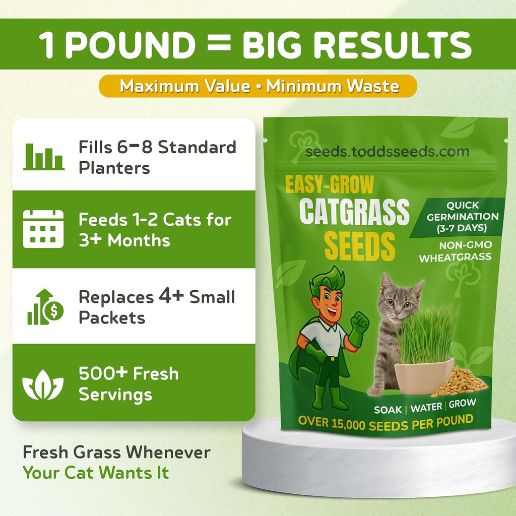 Todd's Seeds Cat Grass Seeds for Indoor Cats, 1lb Wheat Grass Seeds