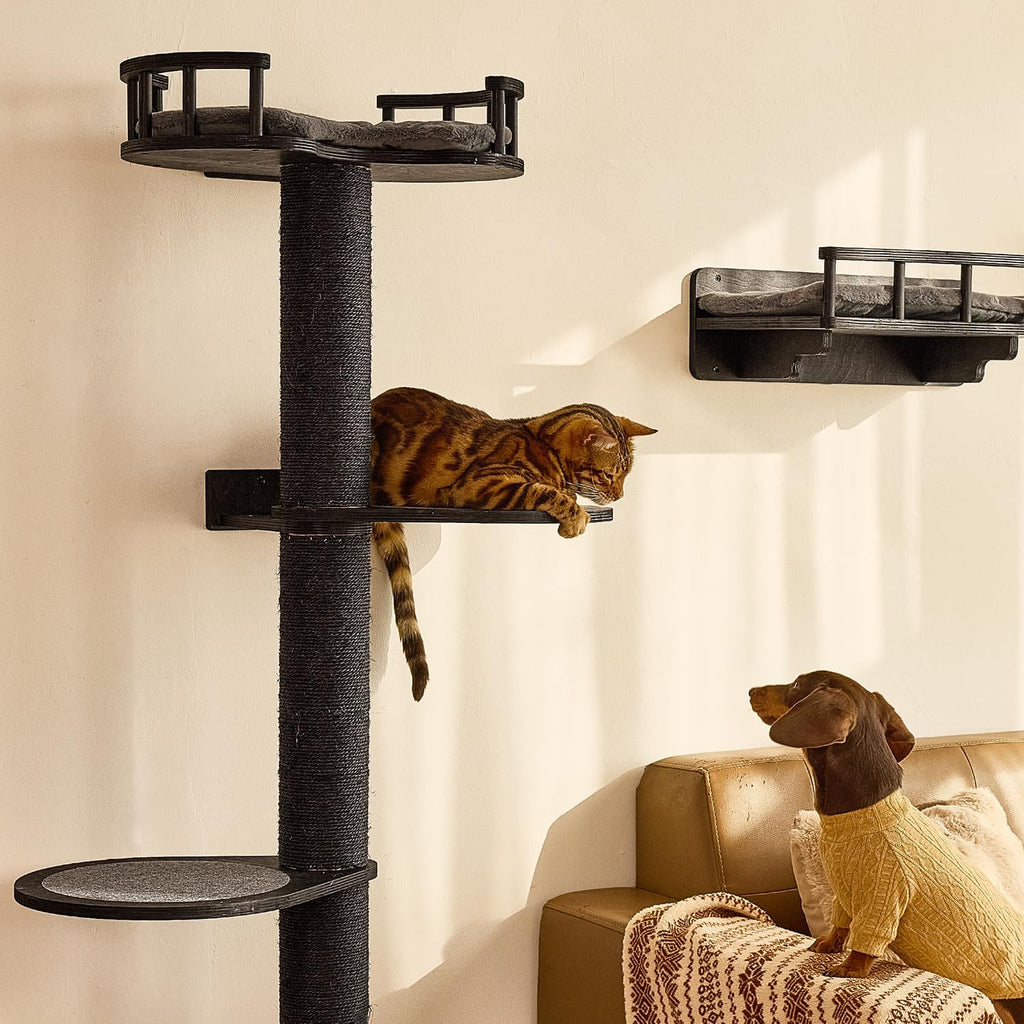 FUKUMARU Cat Wall Shelves, 4 in 1 Set, Black