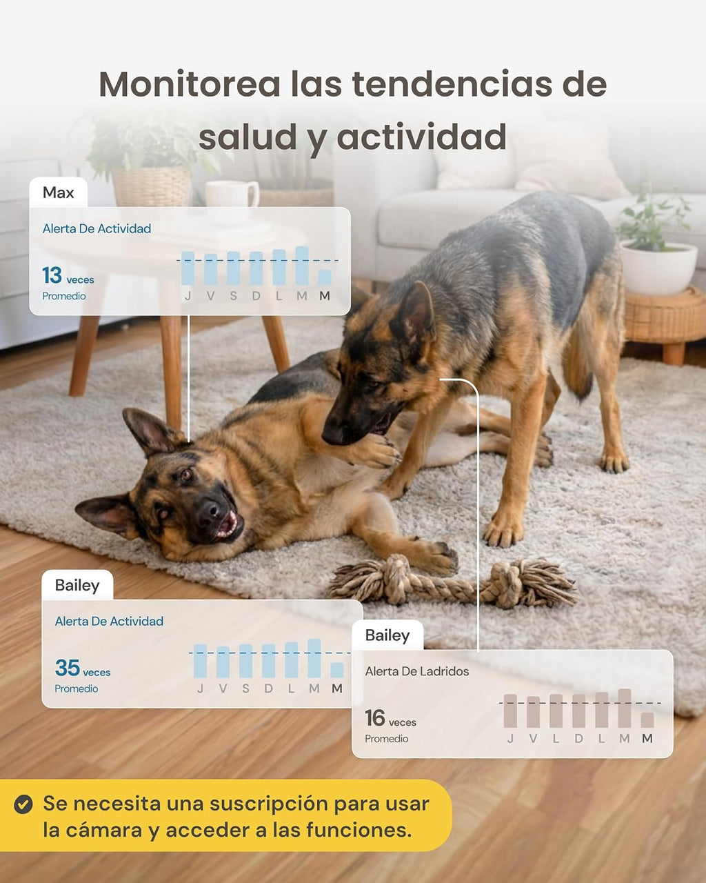 Furbo 360° Dog Camera + Mini 360° Cam [New Subscription Required at Setup] 2-Camera Bundle Nanny Subscription: Dog Safety Alerts, Pet Camera with Speaker, Phone App & Night Vision