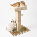 Cat Scratching Post with Bed for Indoor Adult Cats, Cat Perch,Green