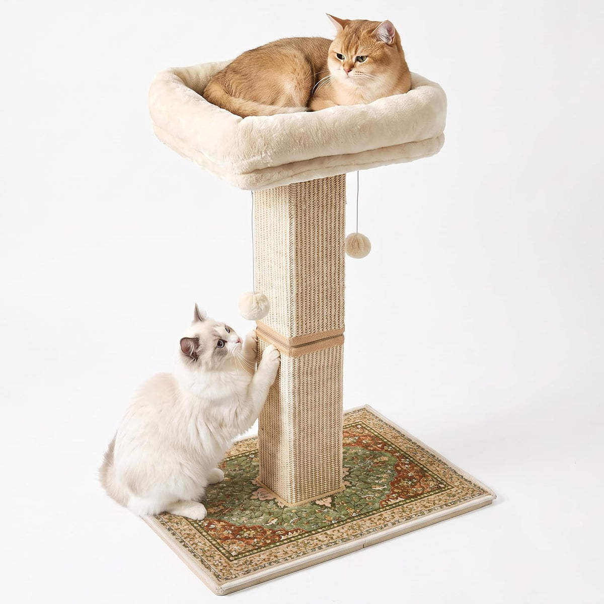 Cat Scratching Post with Bed for Indoor Adult Cats, Cat Perch,Green