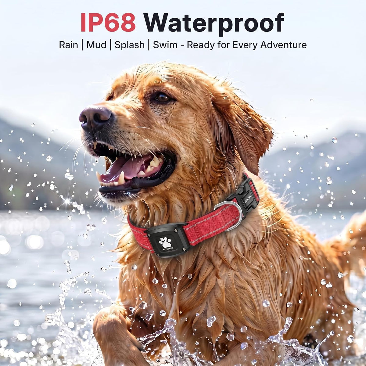GPS Dog Collar with Tracker, Waterproof, No Monthly Fee, Red, S