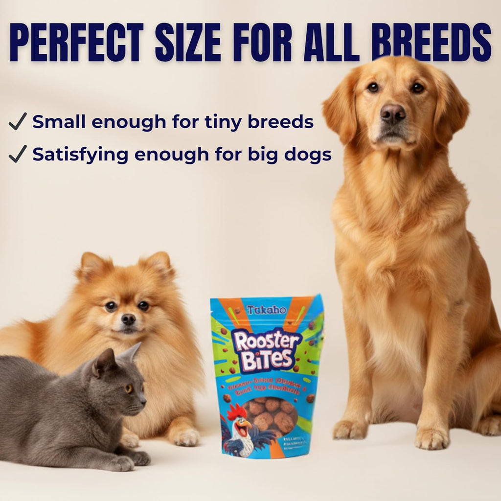 Rooster Bites Chicken Quail Egg Dog & Cat Treats – Only 2 Ingredient Freeze Dried Training Treats - High Protein, All Natural, Made in USA - Picky Eater Approved