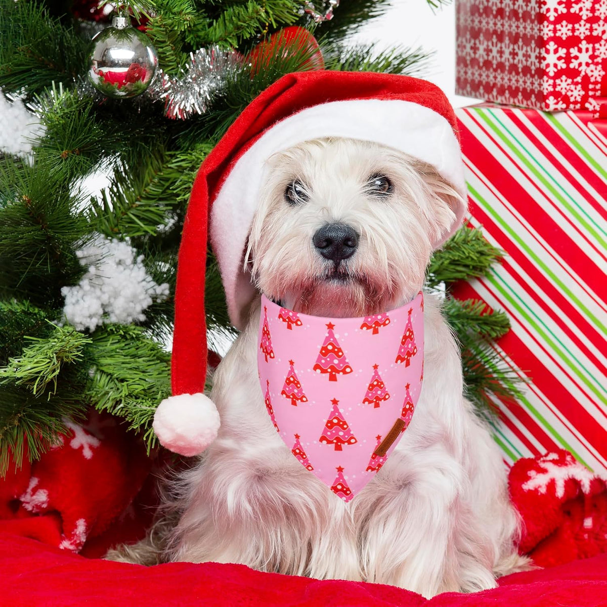 ADOGGYGO Christmas Dog Bandana, Xmas Tree Santa Pet Scarf, Premium Durable Fabric, Adjustable Fit Female Pet Christmas Bandanas for Small Dogs Puppies (Small)
