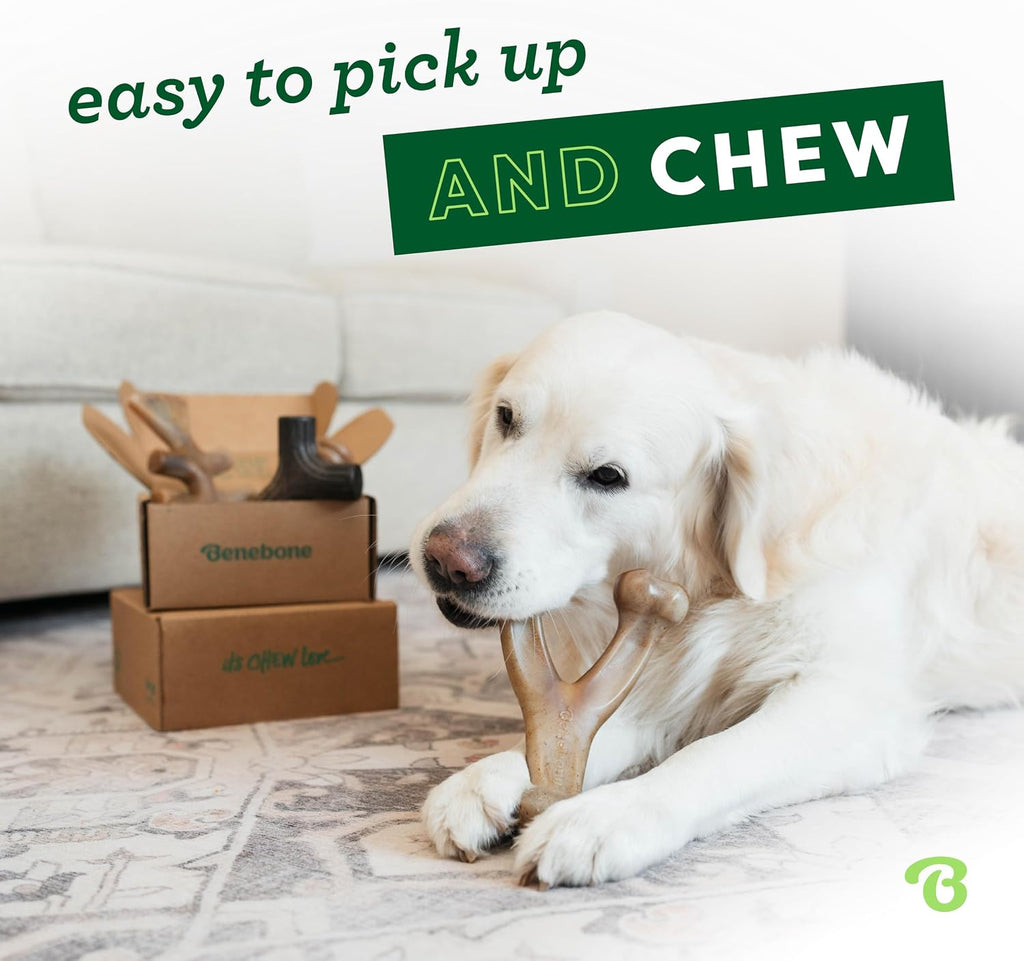 Benebone Large 4-Pack Dog Toys for Aggressive Chewers – Under 90 lbs | Durable, Multipack, Super Chewer, Made in USA, Dog Bones, Long-Lasting, A Size for Every Dog, Keeps Them Busy