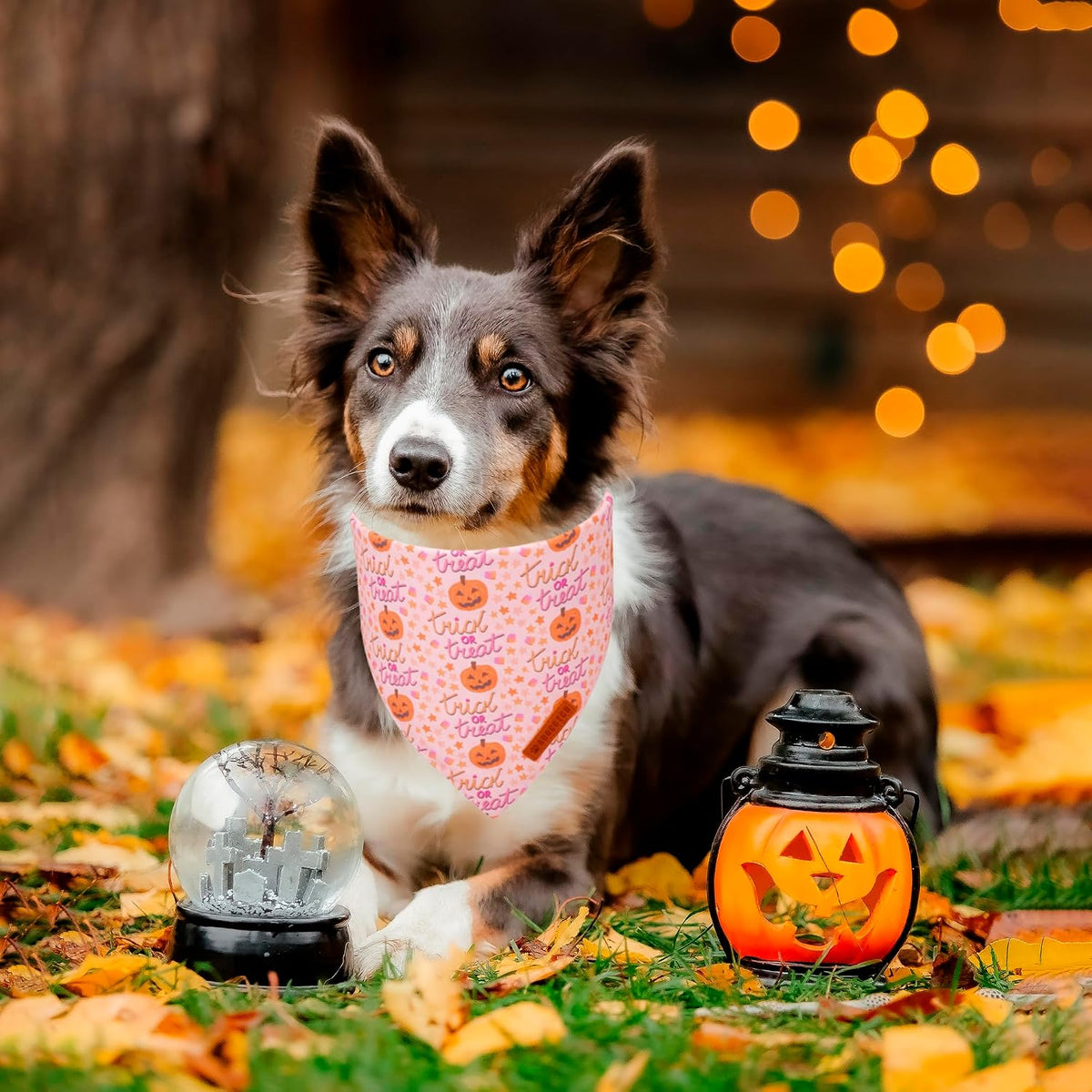 ADOGGYGO Pink Halloween Dog Bandanas Girl, Ghost Pumpkin Dog Scarf, Large