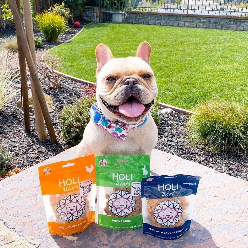 HOLI Freeze Dried Rabbit Dog Treats – Single Ingredient Freeze Dried Rabbit Treats for Dogs – All Natural – High Value Training Treats - 1.75 oz