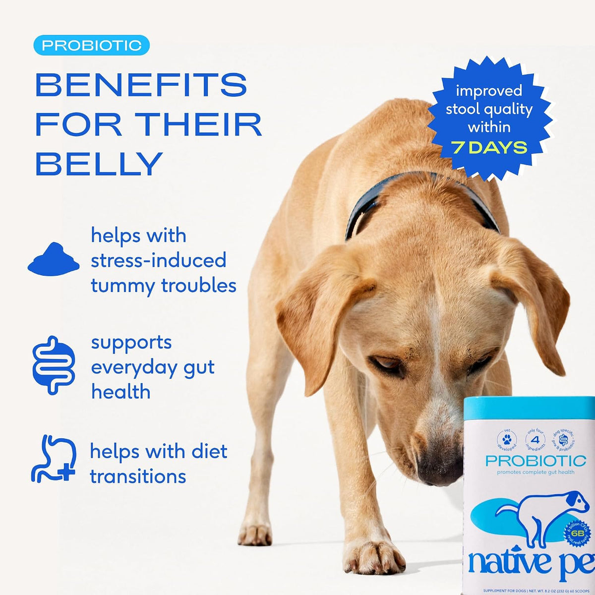 Native Pet Probiotics for Dogs – Dog Probiotic Powder for Gut & Digestive Health, Vet-Formulated 6B CFUs Dog-Specific Probiotic Strains, Supports Stool Quality & Diet Transitions – 120 Scoops