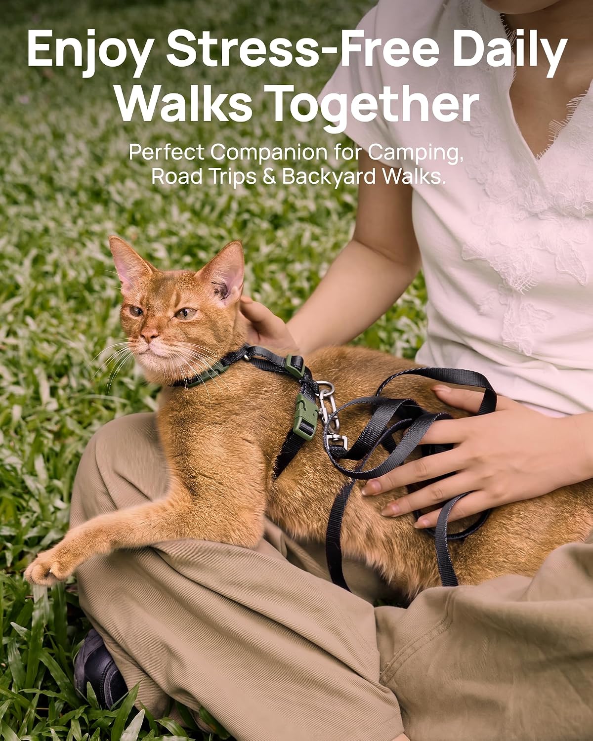 PetThem Adjustable Cat Harness and Leash Set Escape Proof (Black)