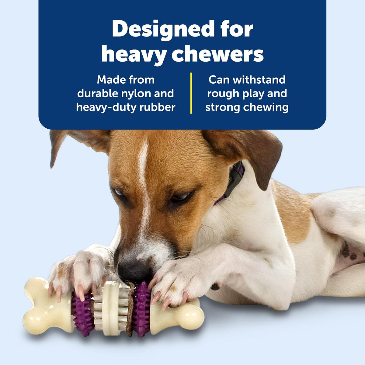 PetSafe Busy Buddy Bristle Bone, Large, Helps Keep Your Dog's Teeth Clean, Long-Lasting Playtime