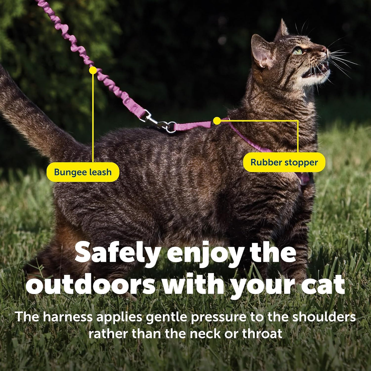 PetSafe Come with Me Kitty Harness and Bungee Cat Leash, Dusty Rose, Small