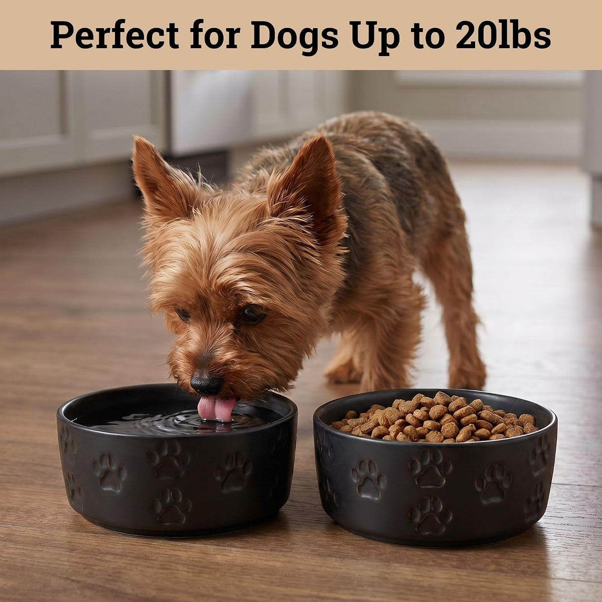Ceramic Dog Bowl Set of 2 with Anti-Skid Base, 5.5"W x 2"H, 2 Cup Capacity