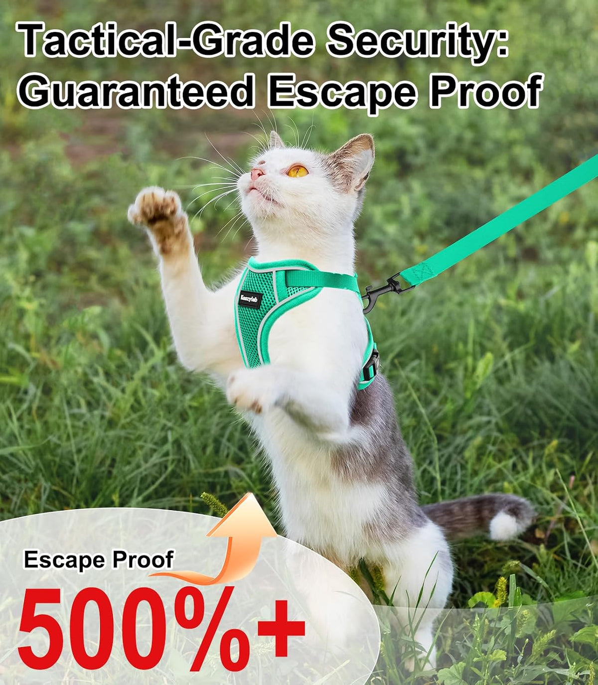 Cat Harness and Leash for Walking Escape Proof Soft Adjustable Cat Leash