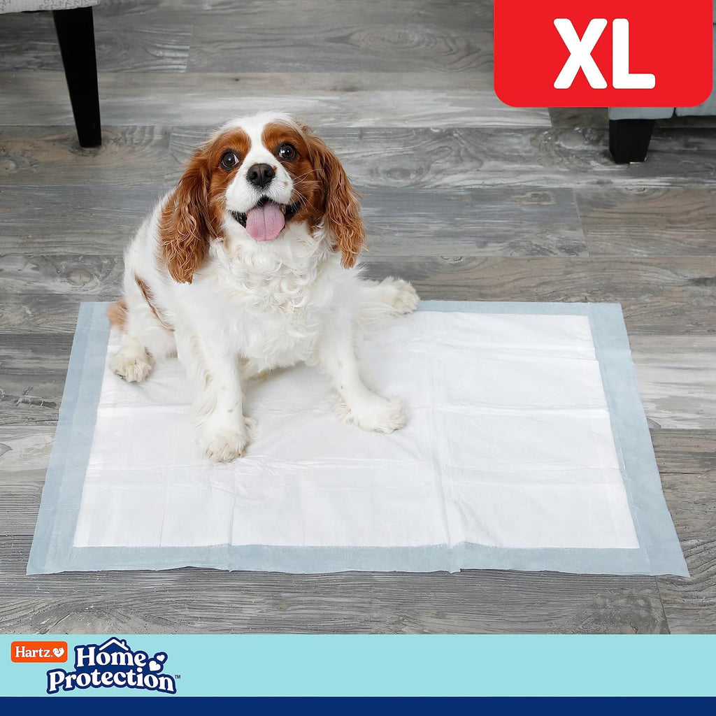 Hartz Home Protection Super Absorbent Odor Eliminating Mountain Fresh Scented No Leaks Dog Pads, XL 30 Count