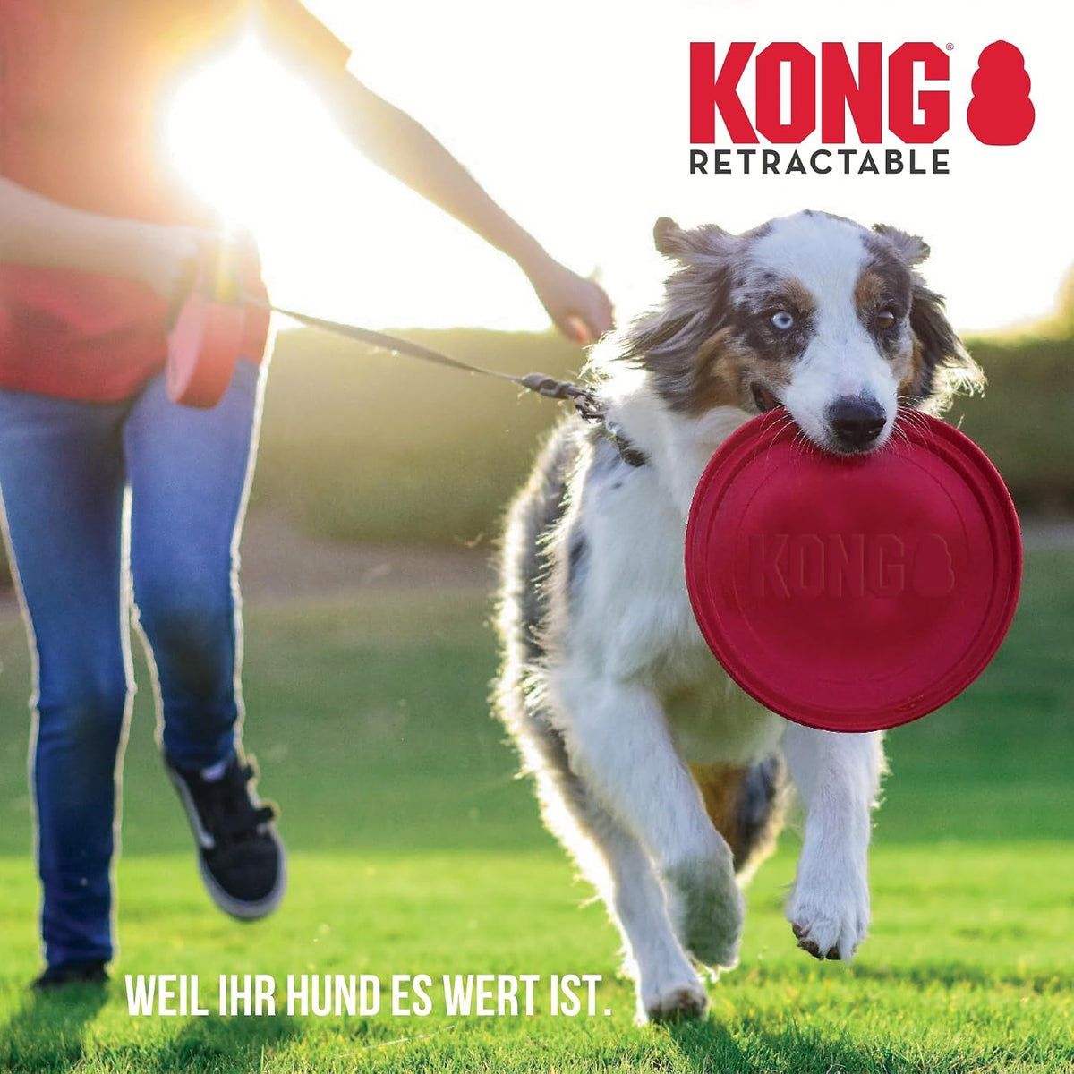 Alcott Kong Terrain Retractable Dog Leash, Large, Blue, 16' Long