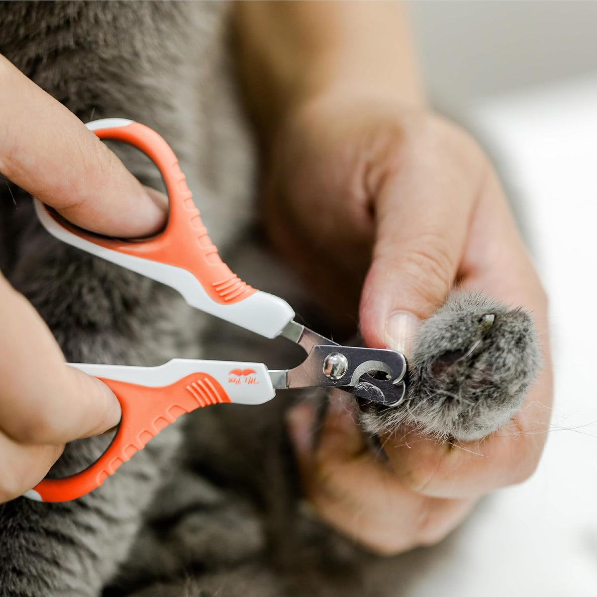Mr. Pen- Cat Nail Clipper, Stainless Steel