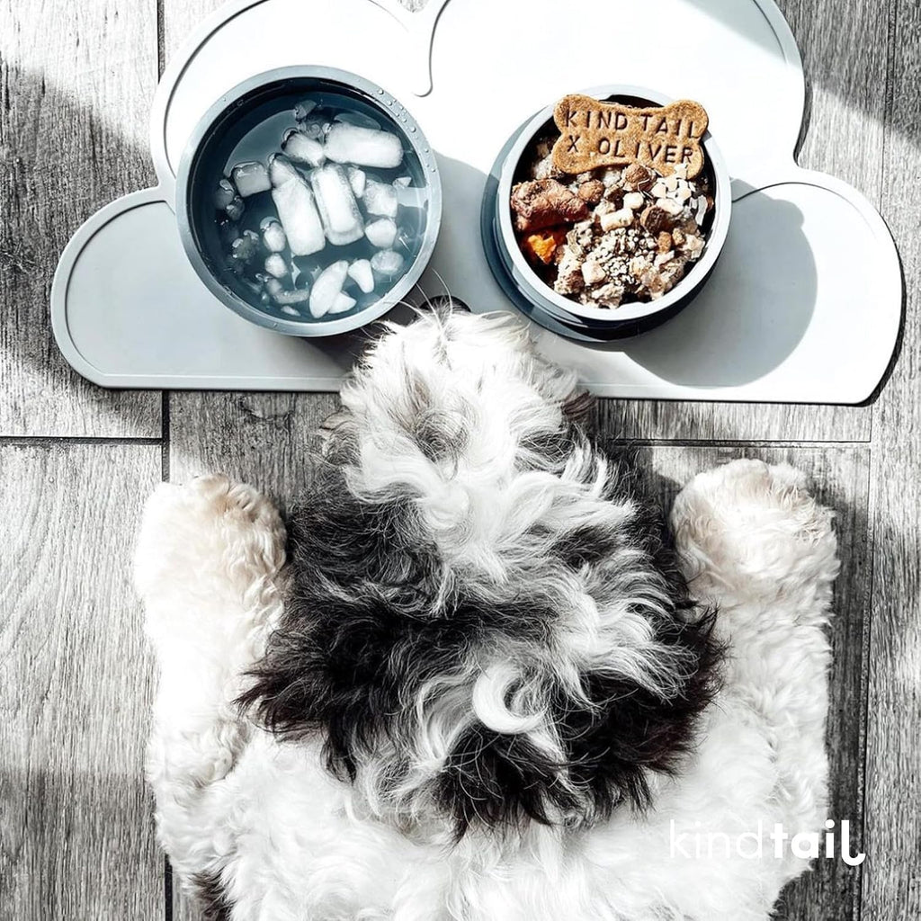 Portable Pet Feeder, Travel Dog Bowls with Lid and Handle, Microwave and Dishwasher-Safe, 10oz Inner Bowl & 20oz Outer Bowl, Grey 