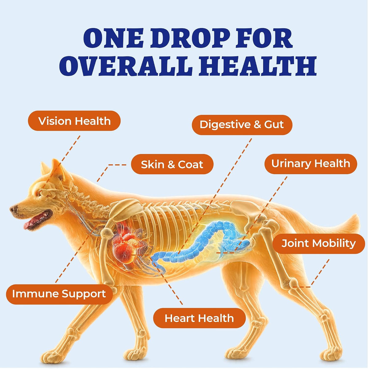 Wellix 24-in-1 Liquid Multivitamin with Taurine for Dogs and Cats 2.03Fl Oz