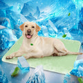 Mora Pets Dog Cooling Mat Instant Pet Cooling Pad Bed for Large Dogs & Cats