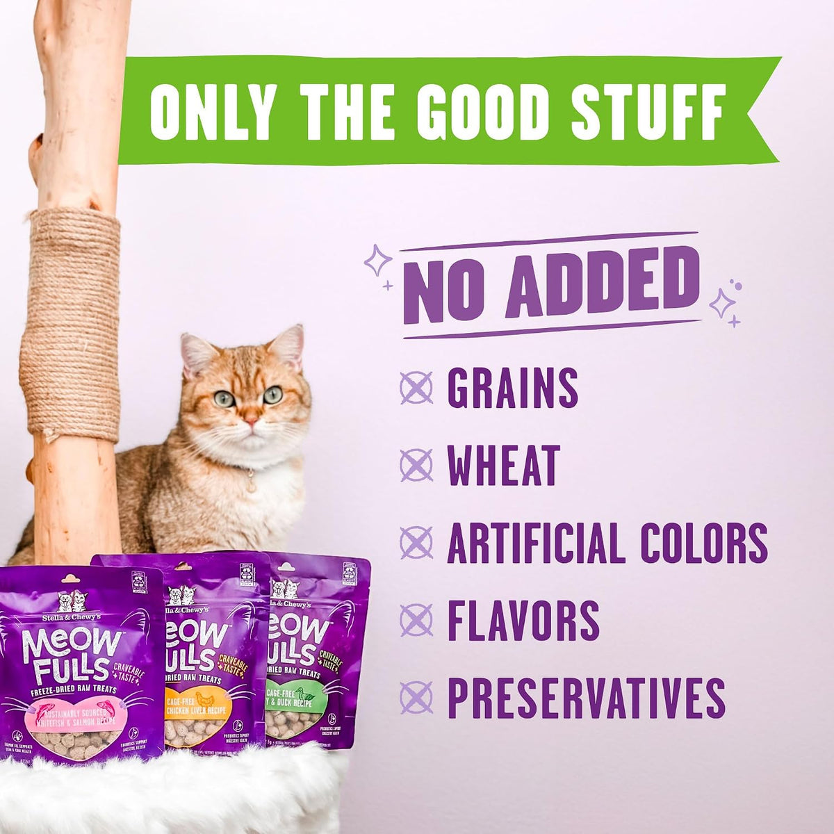 Stella & Chewy's Meowfulls Freeze Dried Cat Treats - Turkey & Duck Recipe - Raw Protein with Probiotics & Salmon Oil - 1 Calorie Per Treat - 1.5 oz