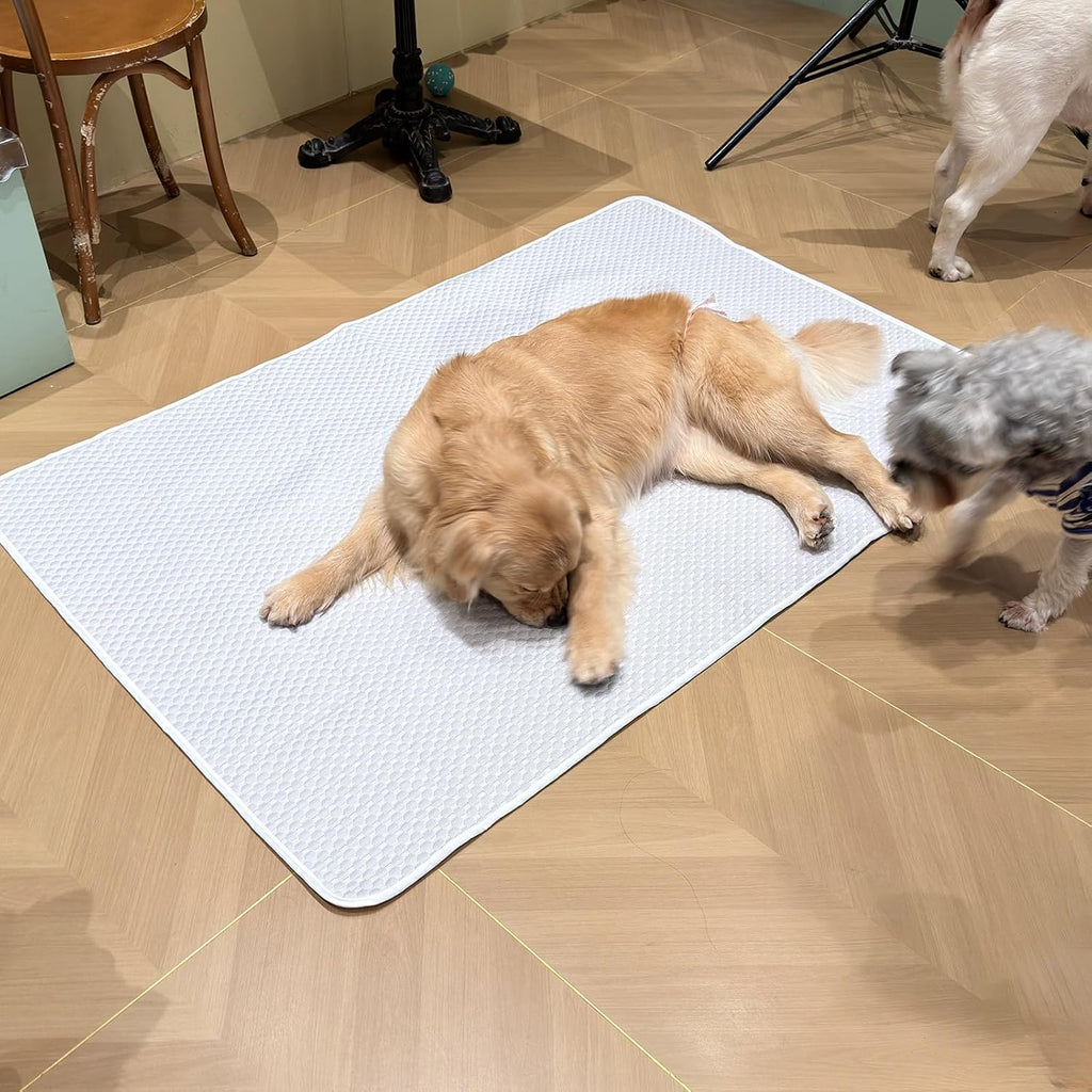 Giant Dog Mat 60"x40", Washable Waterproof Non-Slip Thin Pad, XL
