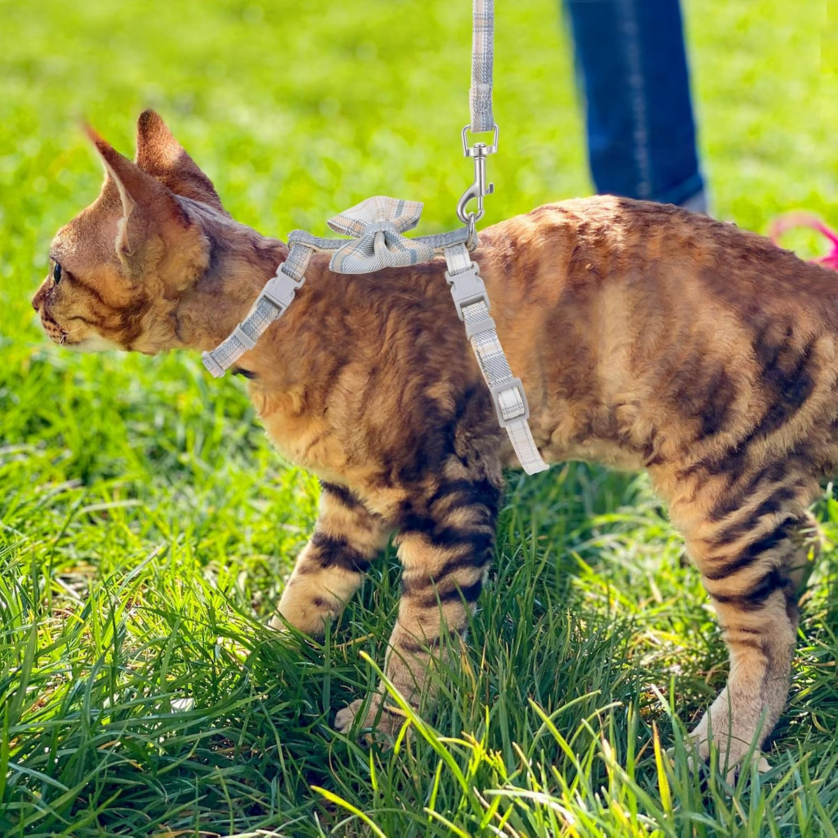 TIESOME Cat Harness and Leash Set, Adjustable Gradient Kitten Harness