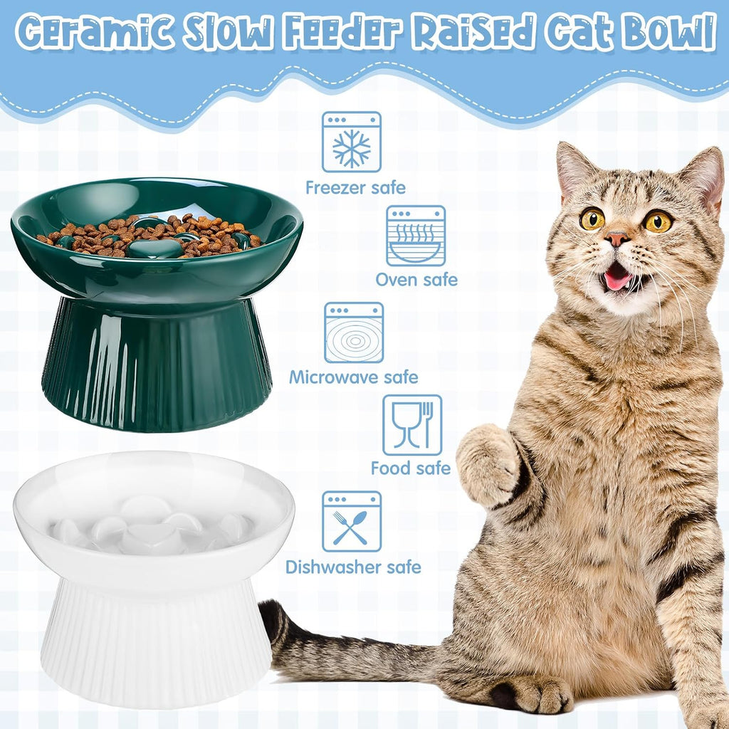 Tioncy 2 Pcs Ceramic Elevated Slow Feeder Cat Bowl, Dark Green, White