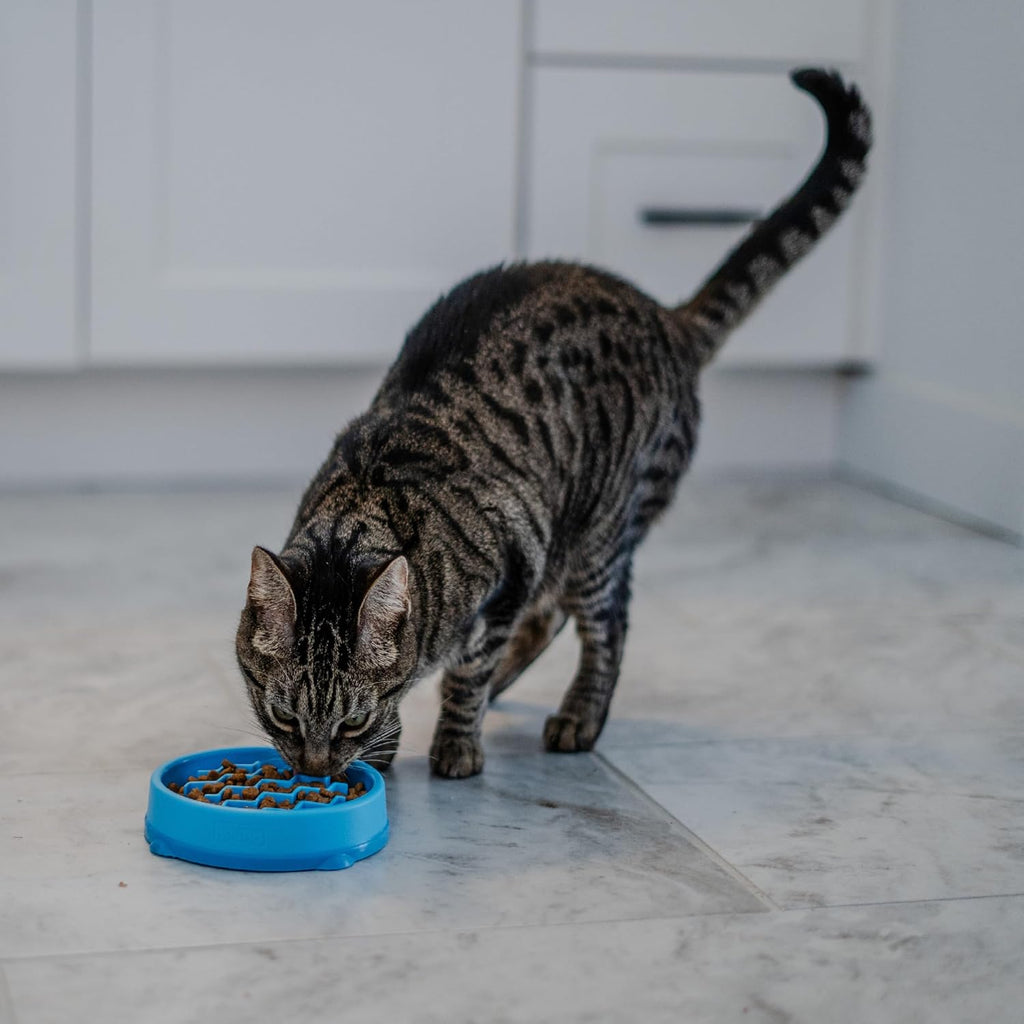 Catstages Kitty Slow Feeder Bowl for Cats & Kittens, 3/4 Cup, Blue, 5"