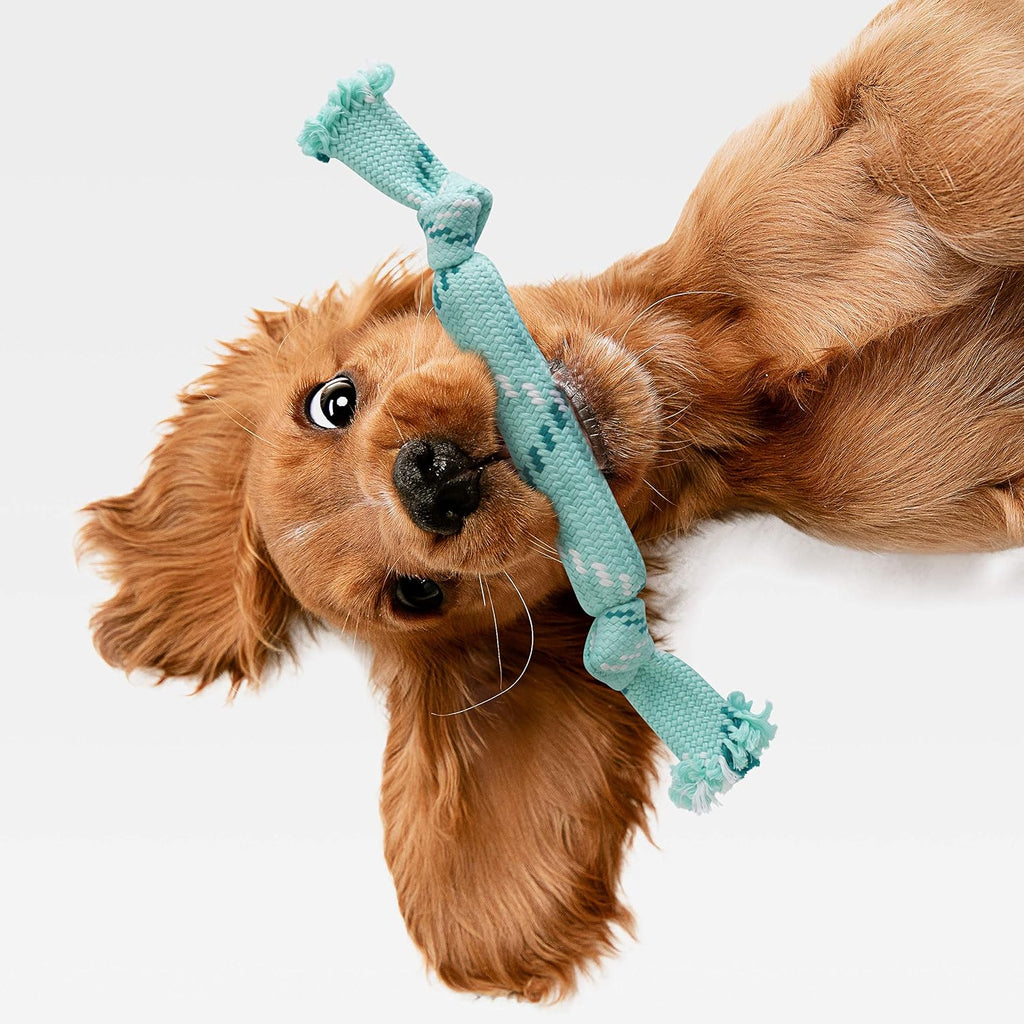 rocket & rex Puppy Rope & Tug of War Toys for Teething (3pk) | For small-medium breeds. Stretchy tug, rubber-lined rope & crackle rope toys. Reduce anxiety & chewing.