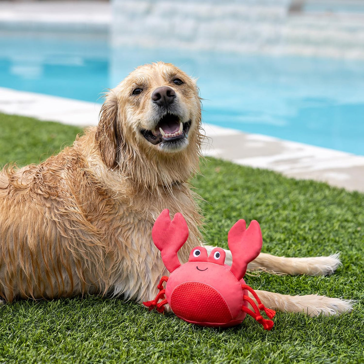 Fringe Studio Claws Floating Dog Toys, Pet Shop Collection (640007)