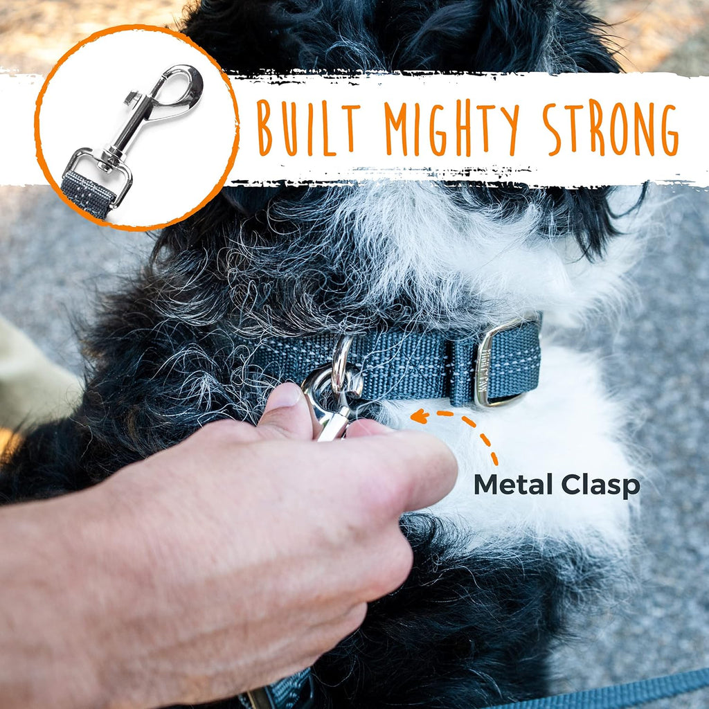 Mighty Paw Double Dog Leash, No Tangle Adjustable Split Lead for Two Dogs