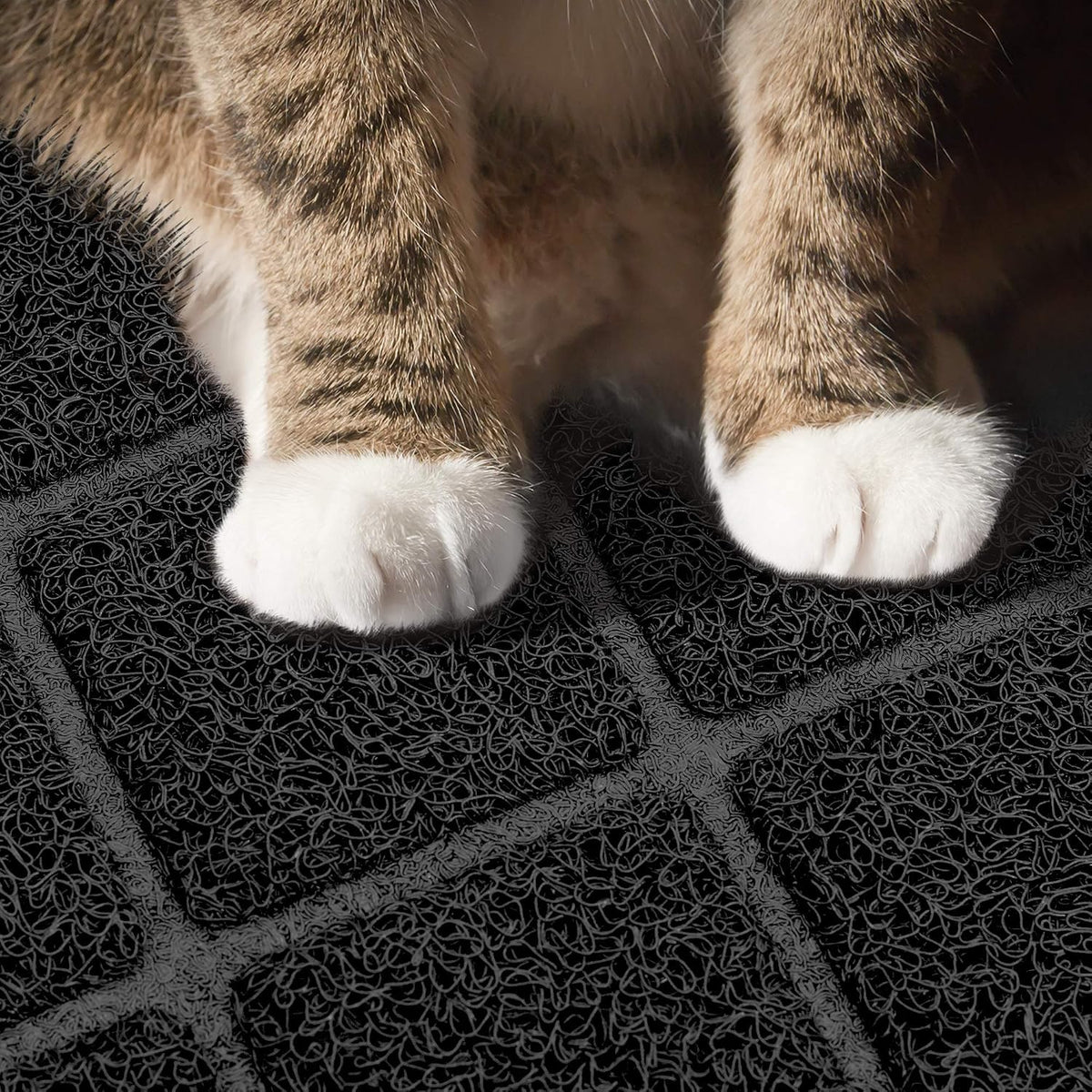 Niubya Premium Cat Litter Mat, 47" Long x 35" Wide, Extra Large Size, Waterproof and Non-Slip Design, Gentle on Paws, Easy to Clean