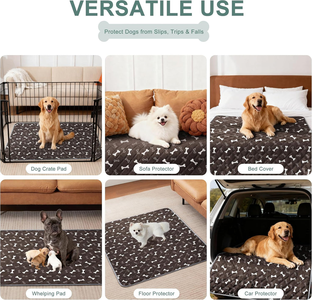 Eterish Washable Pee Pads for Dogs Large/Extra Large 36'' x 41'' 2 Pack | Reusable Absorbent Pet Puppy Dog Training Pads Non-Slip, Waterproof Whelping Potty Pads for Dogs Leak-Proof