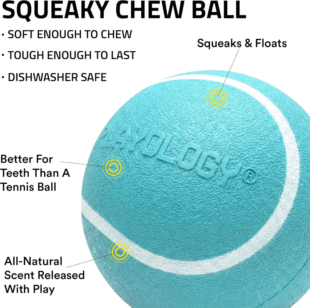 Playology Squeaky Chew Ball Dog Toy - Medium, Peanut Butter Scent