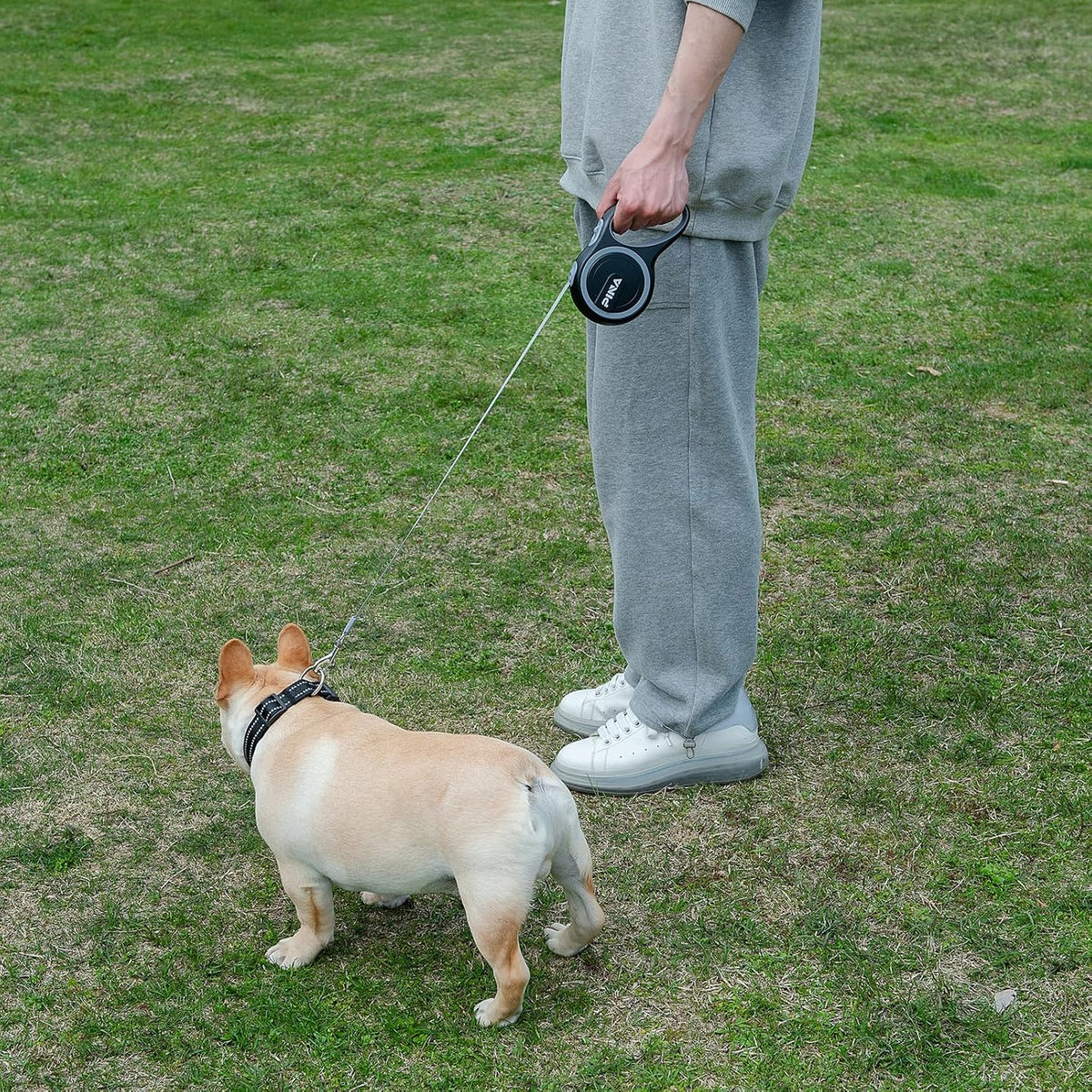 PINA Retractable Dog Leash, 26ft Dog Leash for Small Medium Large Dogs Up to 110lbs, 360° Tangle-Free Strong Reflective Nylon Tape, with Anti-Slip Handle, One-Handed Brake, Lock - Black Gray