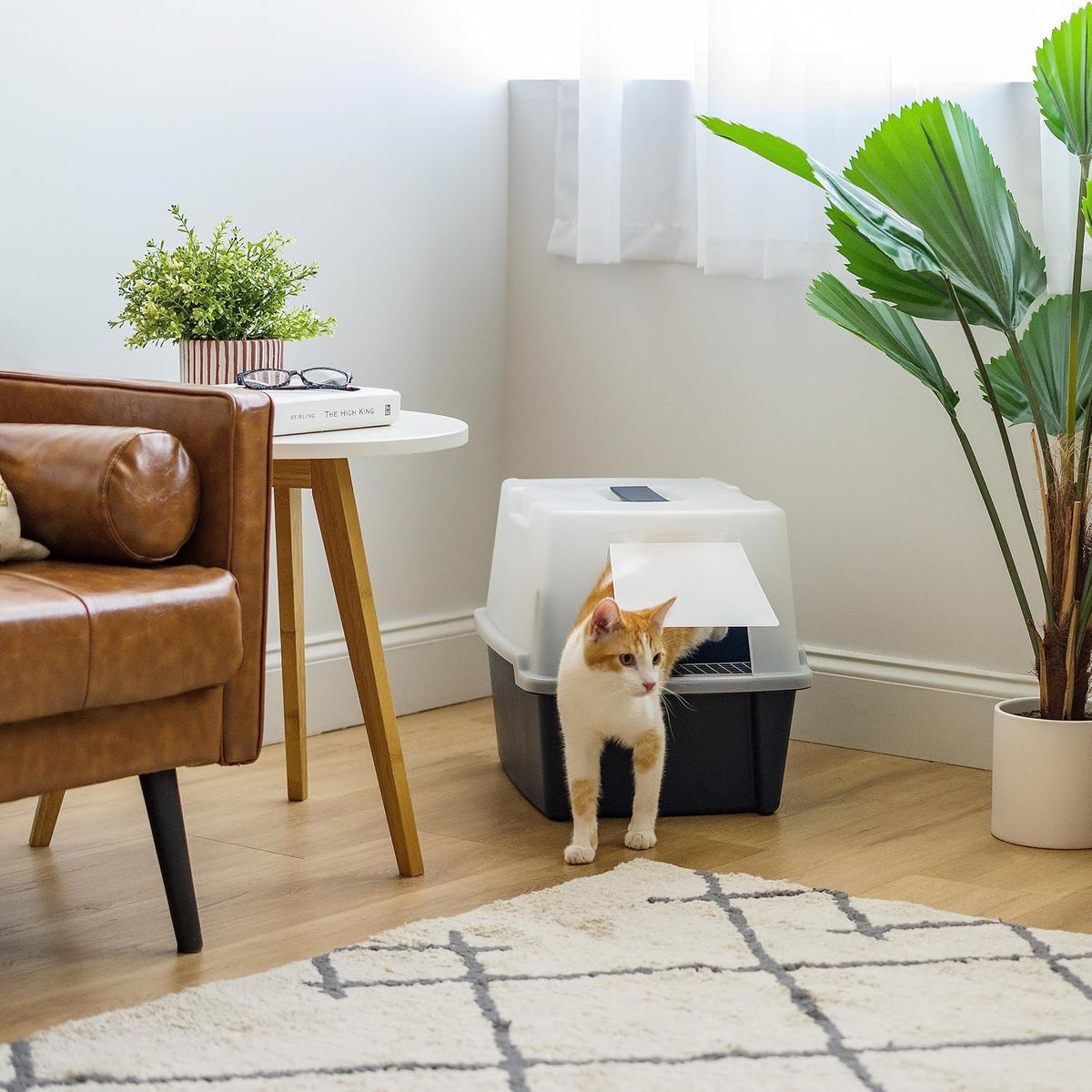 IRIS USA Large Front Door Cat Litter Box, Walk-in Entry, Navy