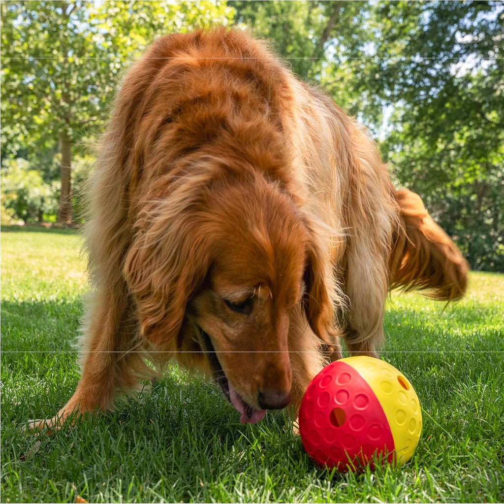 Outward Hound Nina Ottosson Treat Tumble Dog Toy Puzzle Ball, 5.8" | Level 1 Easy, Food-Dispensing Ball, Holds 1 Cup Kibble or Treats, No BPA, Interactive Enrichment, Dogs & Puppies
