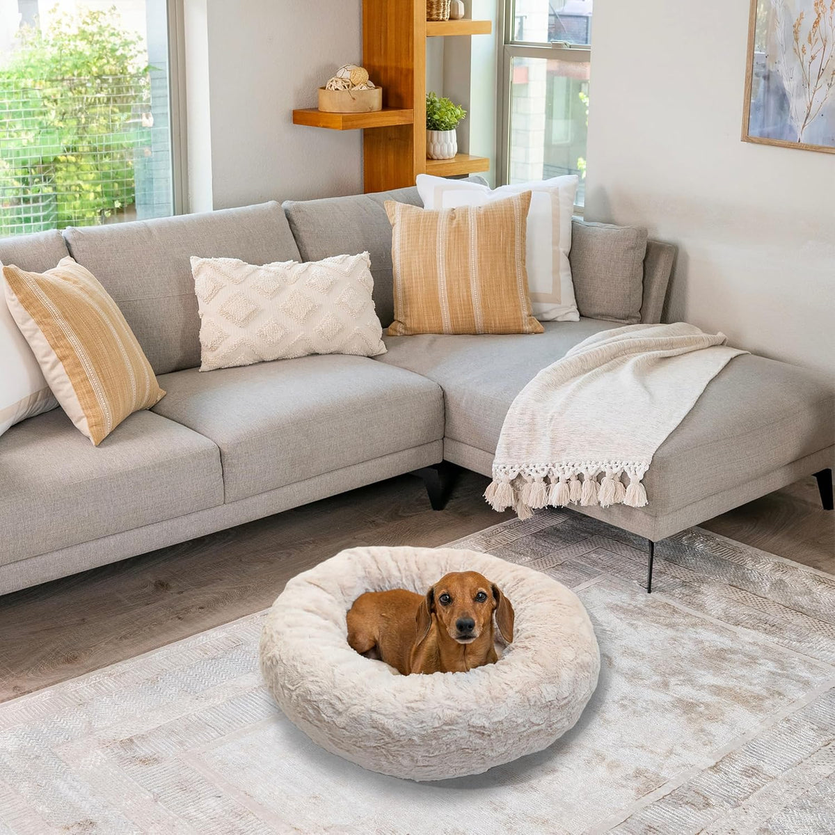 Best Friends by Sheri Original Calming Donut Dog Bed, Oyster, Small, 23"