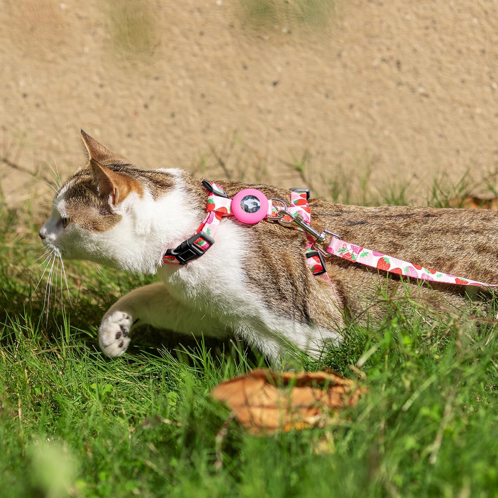 CUSOZWO Cat Harness and Leash Escape Proof for Walking Travel Outdoor