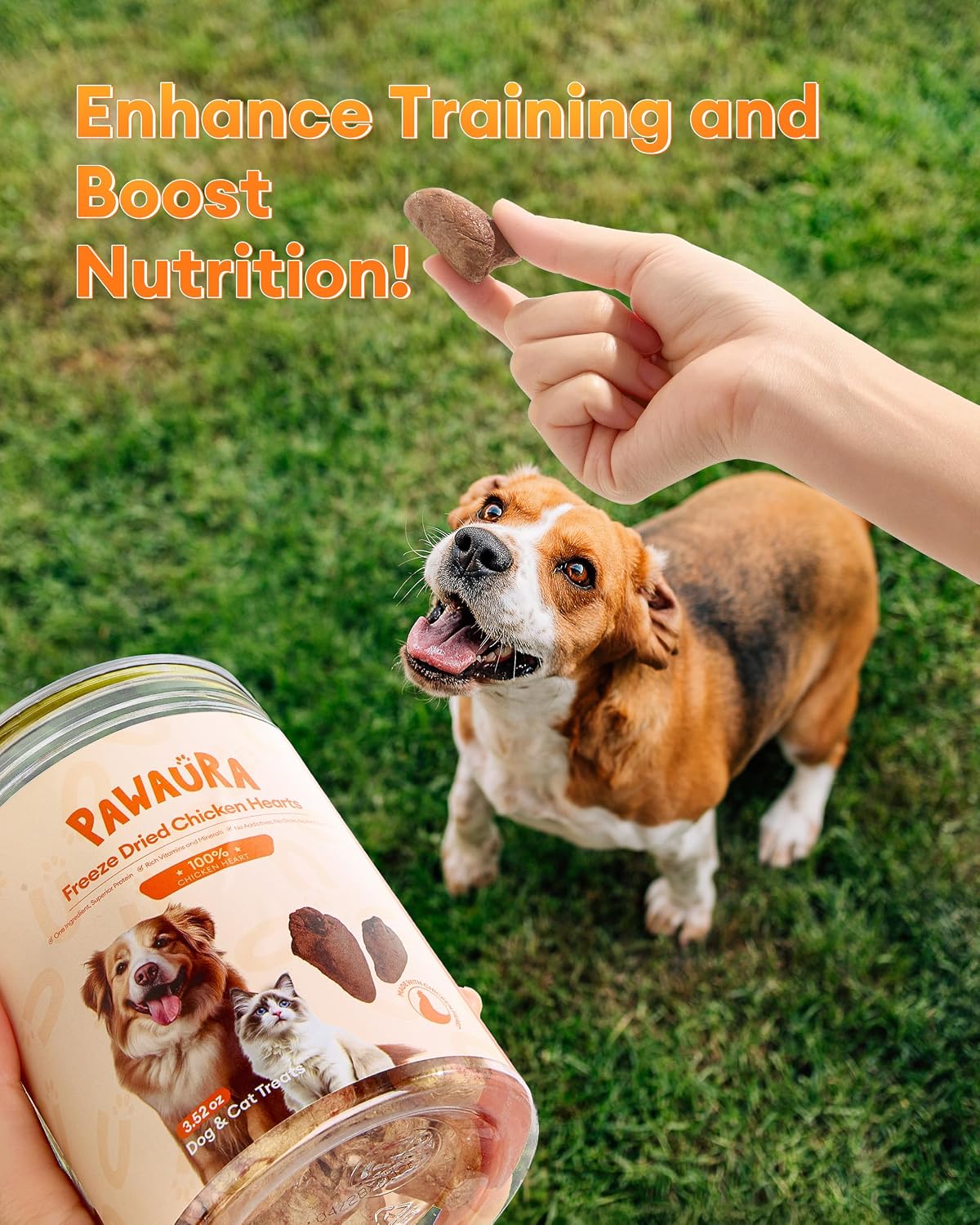 Freeze-Dried Chicken Hearts Treats for Cats & Dogs, 17.63 oz