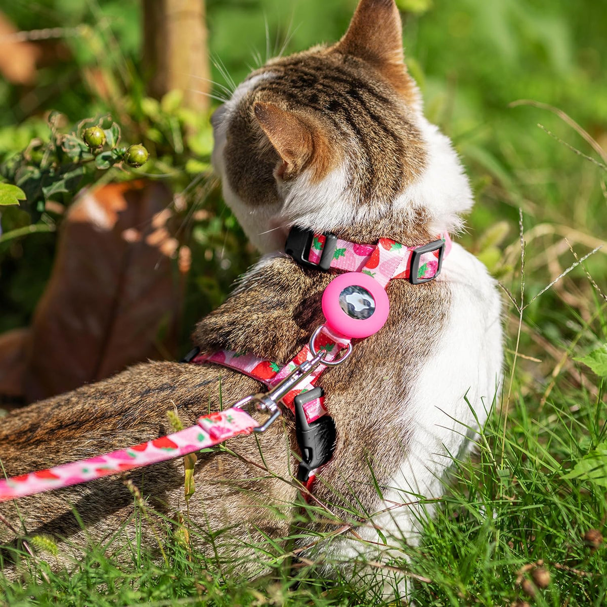 CUSOZWO Cat Harness and Leash Escape Proof for Walking Travel Outdoor