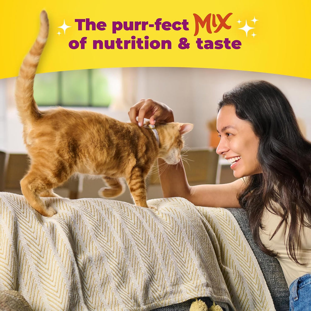 Meow Mix Indoor Health Dry Cat Food, 6.3 Pound Bag