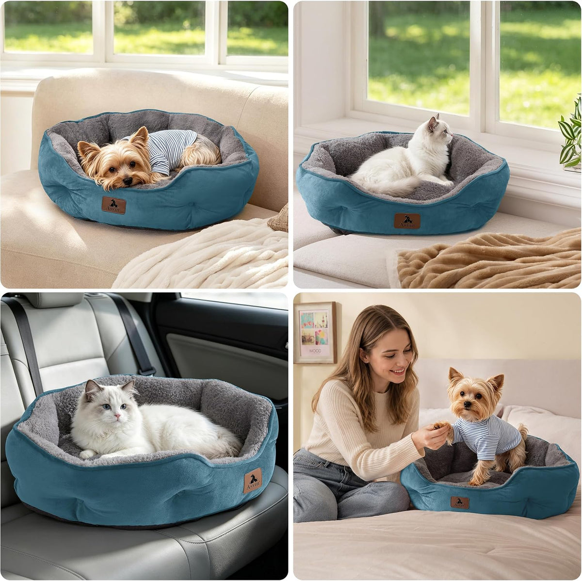 Asvin Small Dog Bed for Small Dogs, Cat Beds for Indoor Cats, Pet Bed for Puppy and Kitty, Extra Soft & Machine Washable with Anti-Slip & Water-Resistant Oxford Bottom, Teal, 20 inches