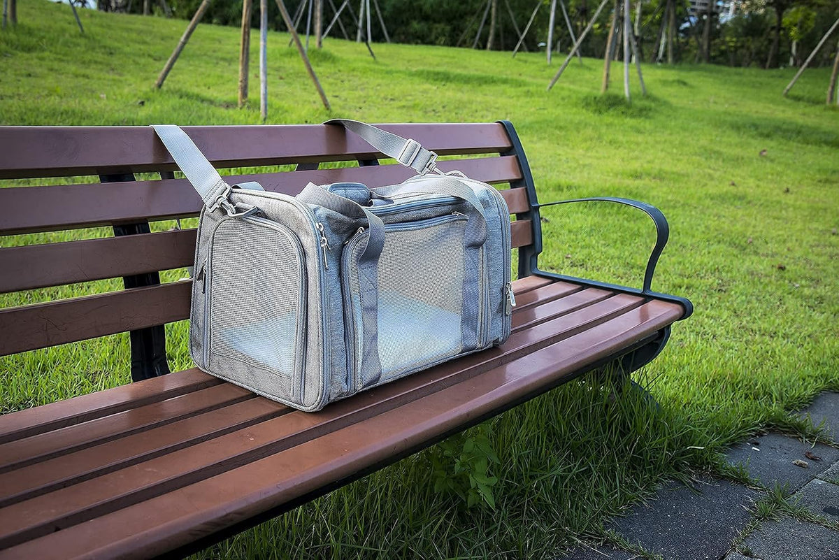 Soft Sided Carrier for Small Medium Cats Dogs,Removable Pad Collapsible Travel Pet Carrier Large Grey