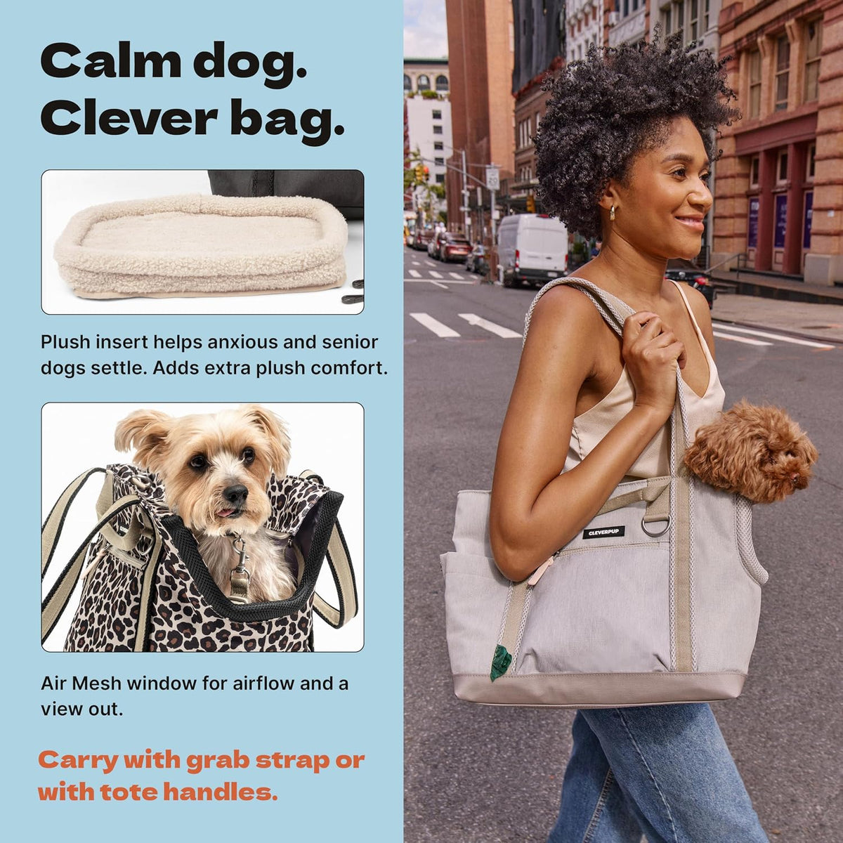 Cleverpup Transit Tote Dog Carrier 4-Piece Set - Small, Leopard
