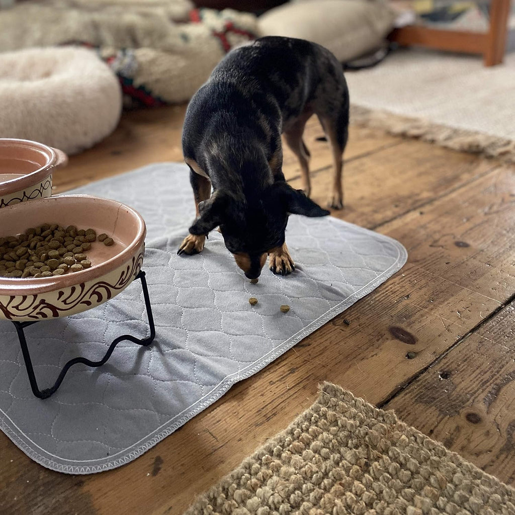 Washable Reusable Puppy, Dog and Cat Pee Pads, Leak-Proof (22x22, 2pk)