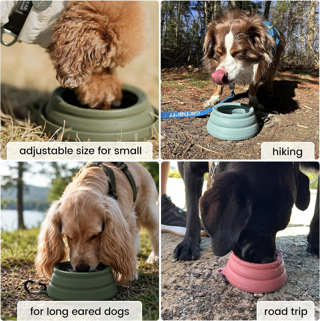 OHMO Spill Proof Collapsible Dog Bowl, 24oz Portable Dog Water Bowl | Low Center Gravity Stability, Tapered Splash Control, Foldable Cat Bowl, Dishwasher Safe, Dog Travel Essential, Erythrinus