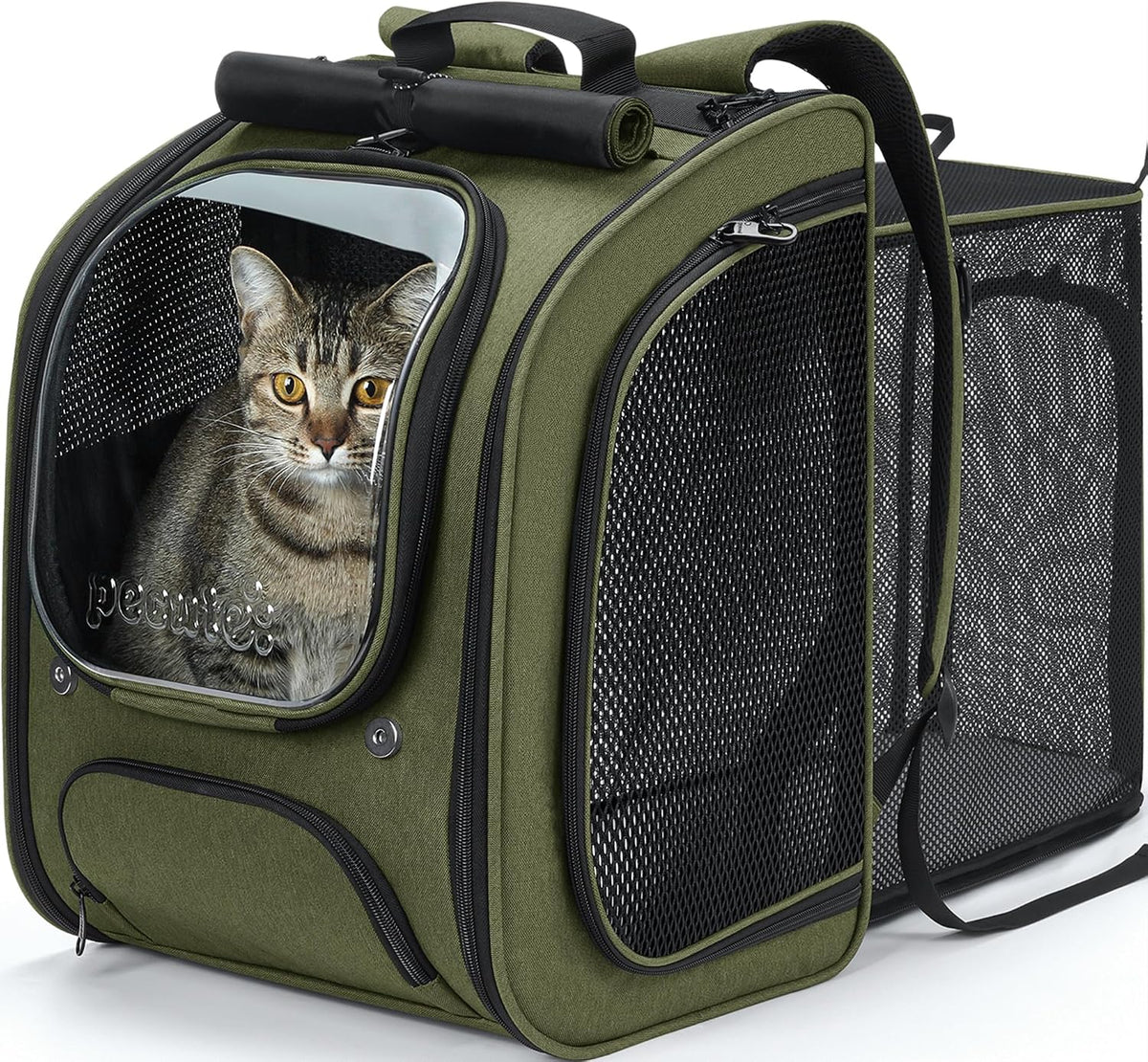 Pecute Cat Backpack Carrier,Cat Bubble,12.6" L x 10.2" W x 16.5" H,Green