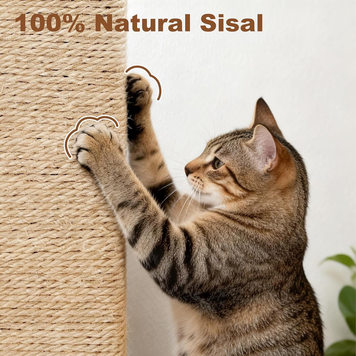Tall Cat Scratching Post for Indoor Cats Adults with Carpet, White